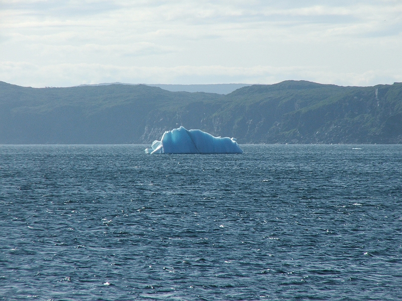 NFLD_drive_to_and-viking_settlement 936.jpg - Cool... really... ice cold kinda cool...